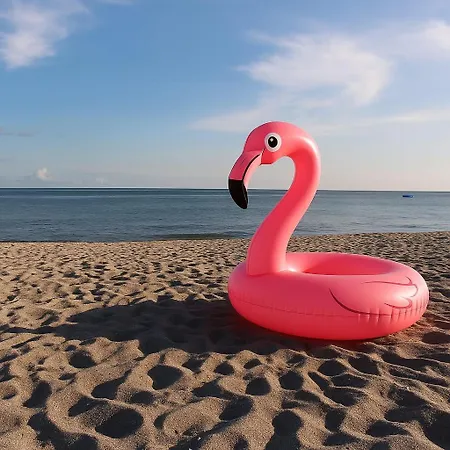 Dom wakacyjny Dębova No.5 *